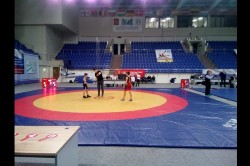 �����������