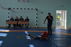 �����������