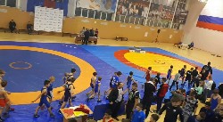 �����������