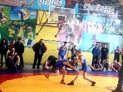 �����������