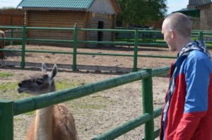 Изображение Изображение