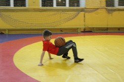 �����������