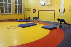 �����������