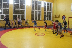 �����������