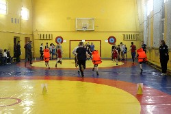 �����������