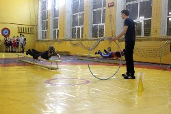 �����������