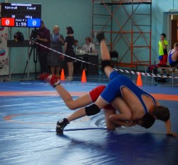 �����������