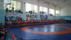 �����������